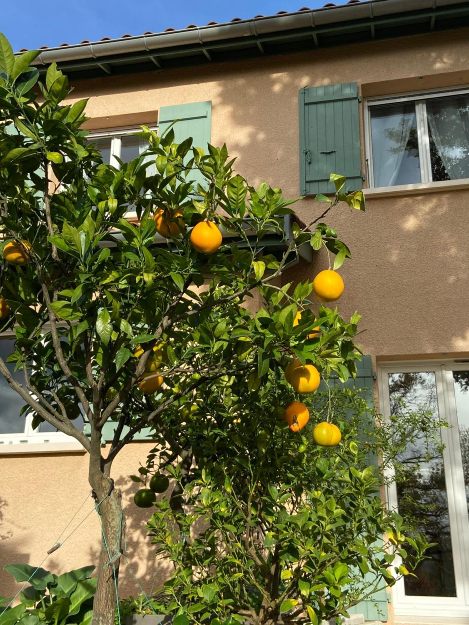 Le Relais Des Malettes Chambres D'Hotes B&B Francheville  Dış mekan fotoğraf