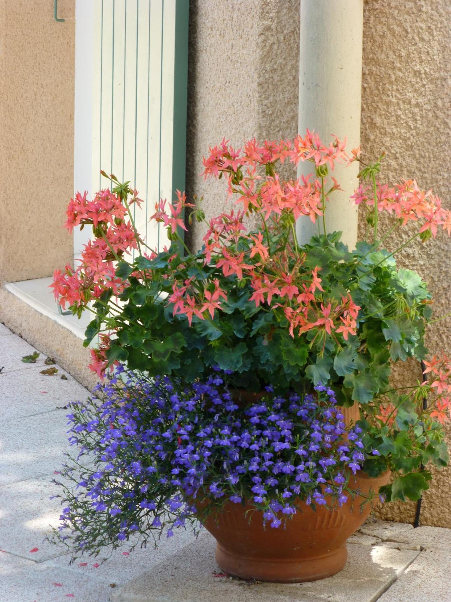 Le Relais Des Malettes Chambres D'Hotes B&B Francheville  Dış mekan fotoğraf